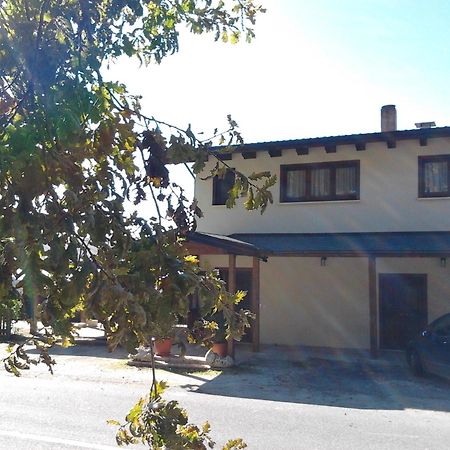 Agrihotel Papaya San Pietro Apostolo Exterior foto