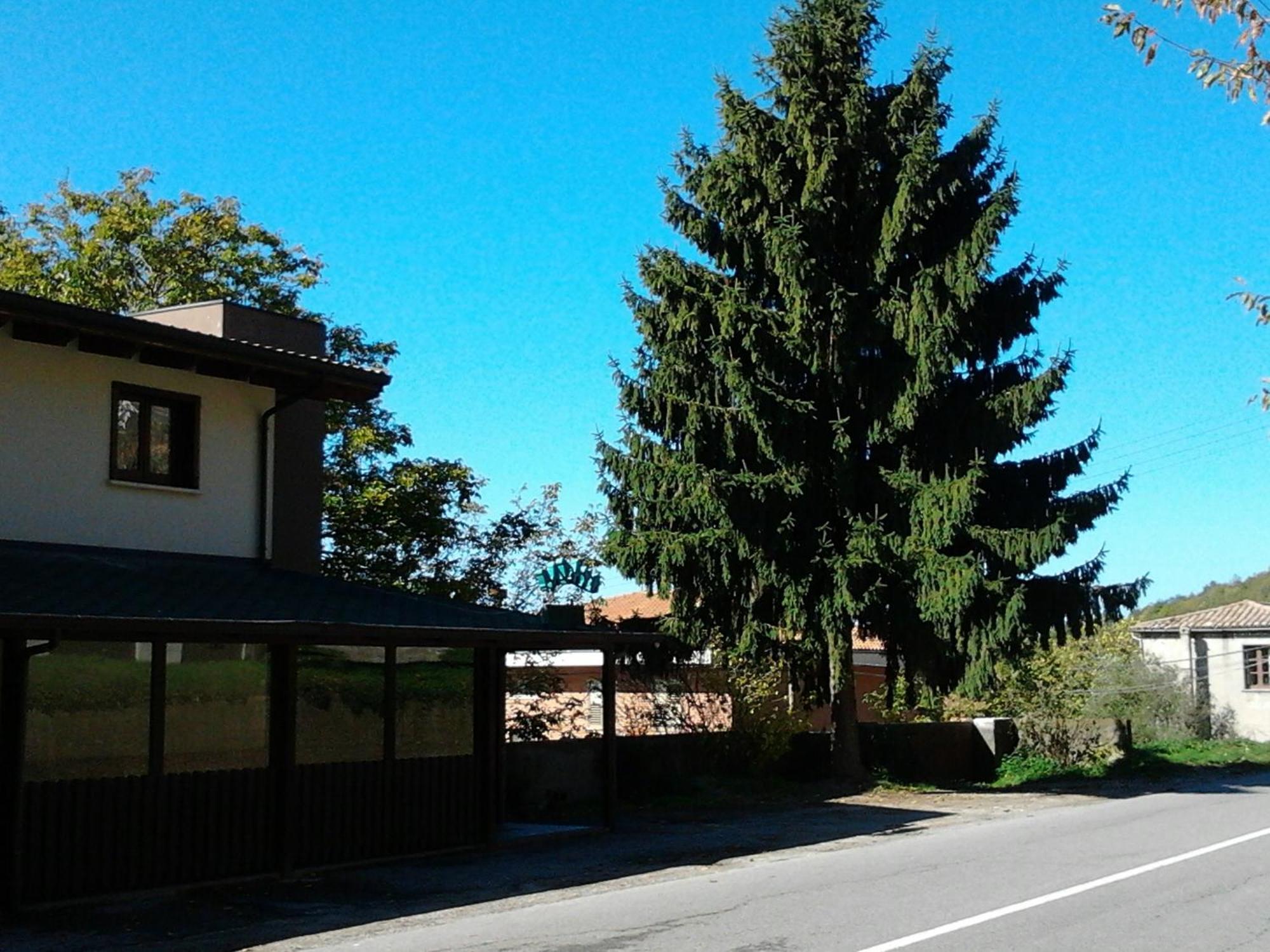 Agrihotel Papaya San Pietro Apostolo Exterior foto